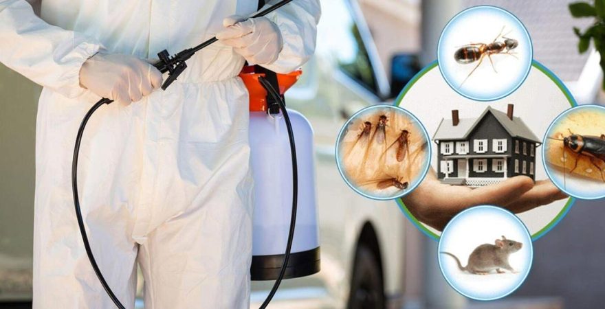 Dazkırı Böcek İlaçlama