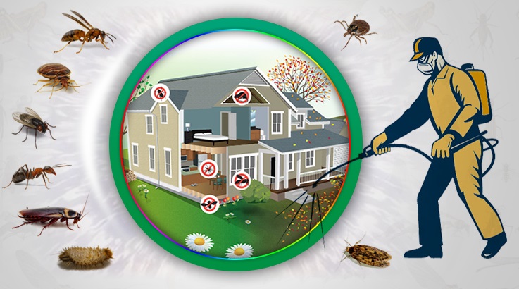 Dazkırı Böcek İlaçlama