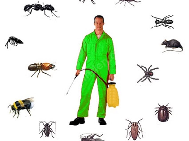 Dazkırı Böcek İlaçlama